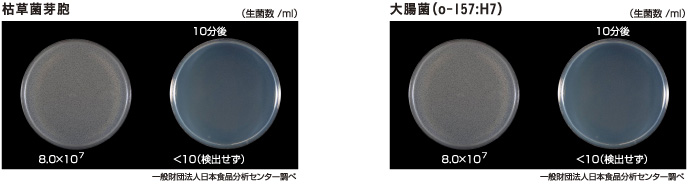 X[p[At@Eیʎ^͑ۉEA咰